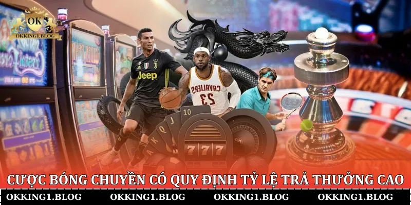 cuoc bong chuyen co quy dinh ty le tra thuong cao