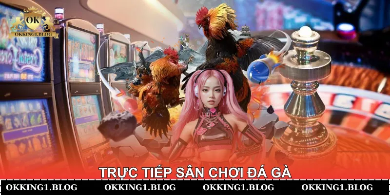 Trực tiếp sân chơi đá gà